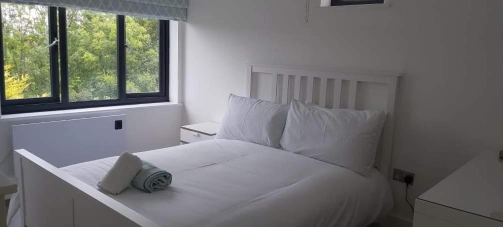 Newquay Rialton Holiday Home المظهر الخارجي الصورة
